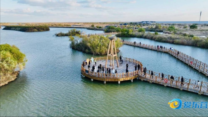 将对中国女 将对中国女