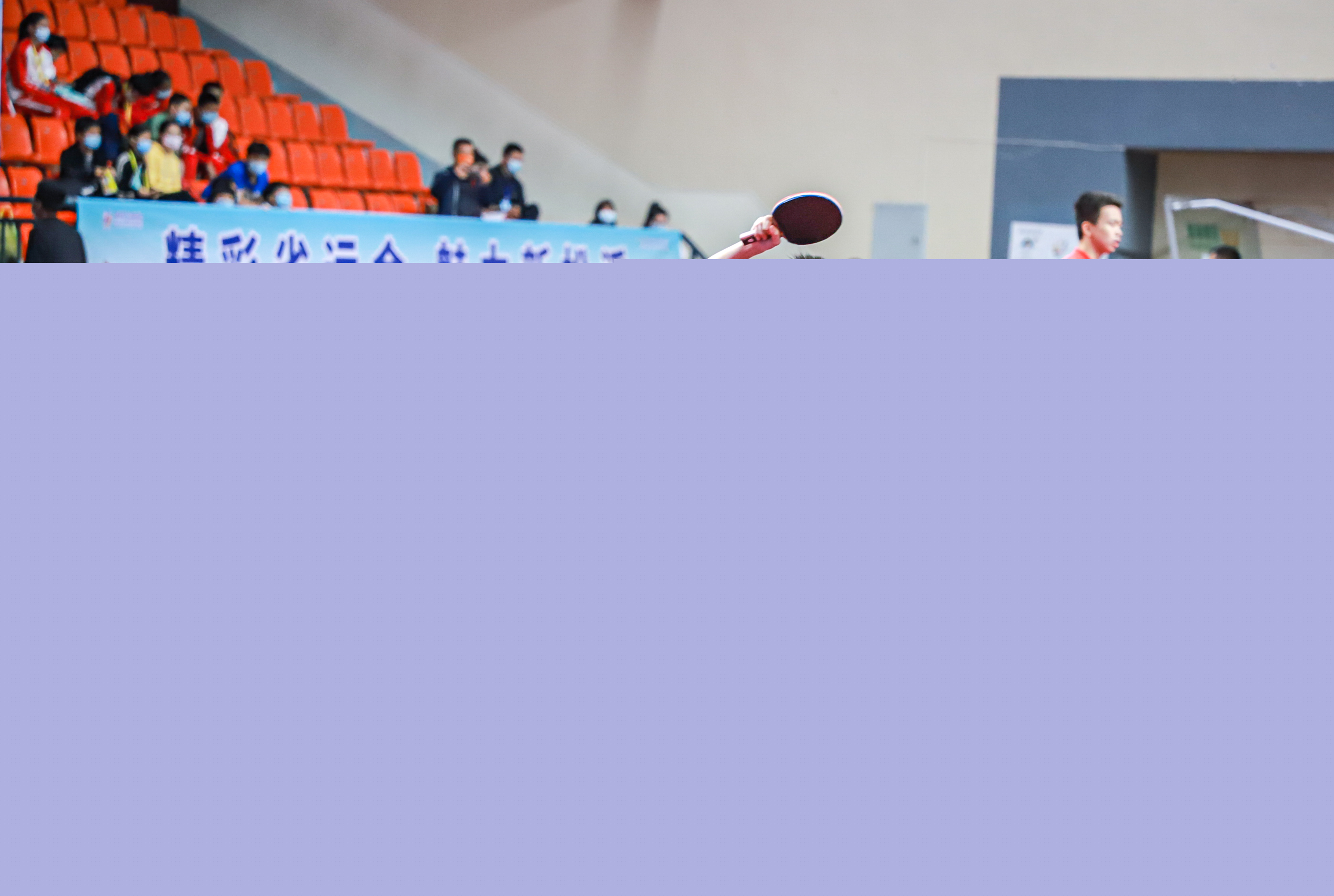 我国的整体 我国的整体