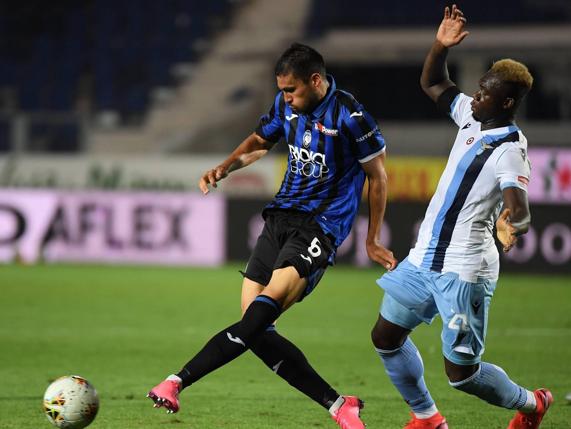 与许多只追 与许多只追