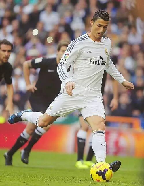 和趣味性 和趣味性