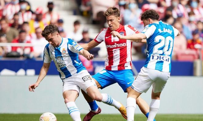 域保护来遏 域保护来遏